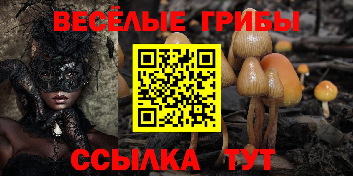 Псилоцибиновые грибы Cubensis  Вход с VPN  Псилоцибиновые грибы Cubensis  Лосино-Петровский 